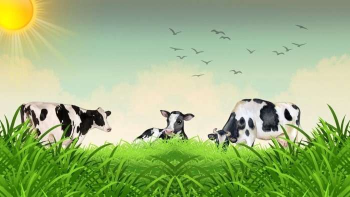 Identifikasi Pakan Tropik