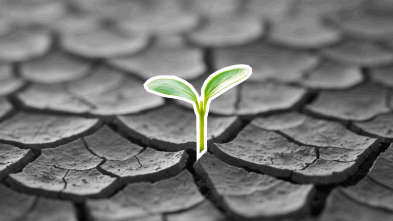 Karakteristik dan Permasalahan Tanah Pasca Tambang Timah