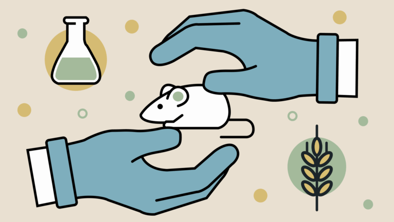 Teknik Dasar Penanganan dan Pemeliharaan Hewan Coba