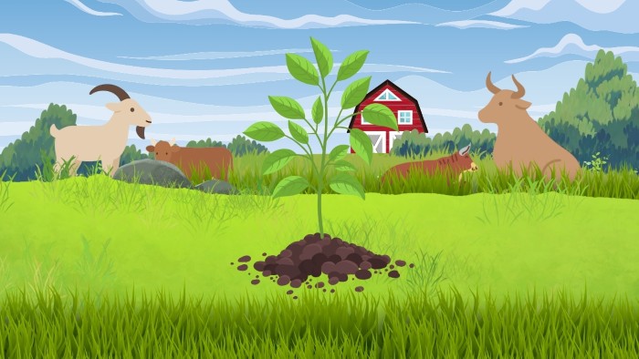 Metabolit Sekunder Pada Pakan