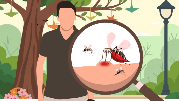 Patogenesis dan Manifestasi Malaria