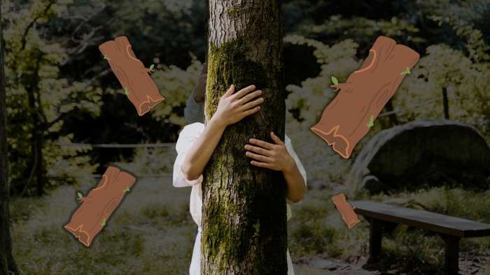 Pembagian Batang Pohon hingga Pengangkutannya di Dalam Kawasan Hutan