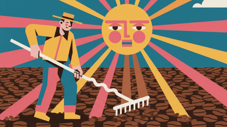 Urgensi dan konsep dasar pengeringan kopi