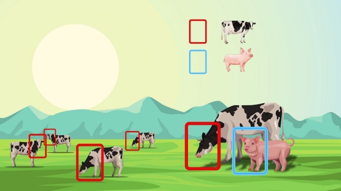 ⁠Object Detection and Object Classification