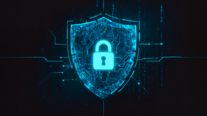 Introduction to Cyber Security